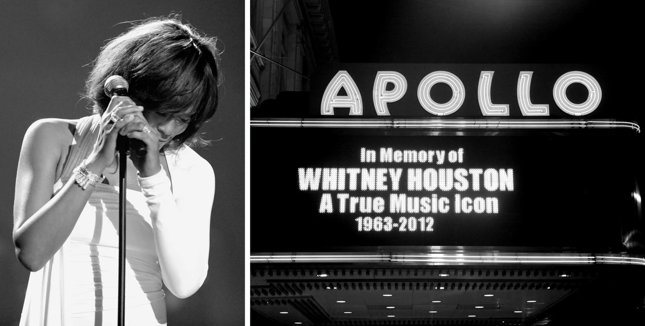 Nedjelja, 21. rujna na Drugom, Foto: Slava ubija: Whitney Houston/dokumentarna serija