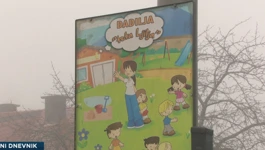 Dadilja teta Ljilja