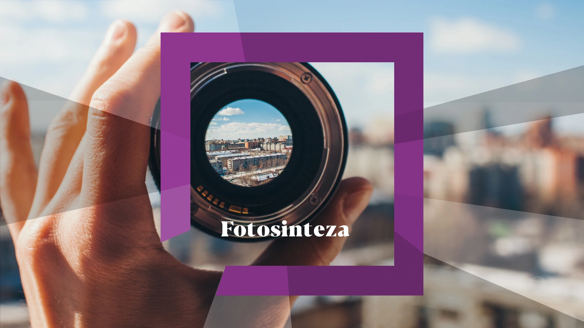 Fotosinteza