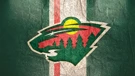 Logo Minnesota Wilda