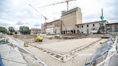 Projekt Paromlin