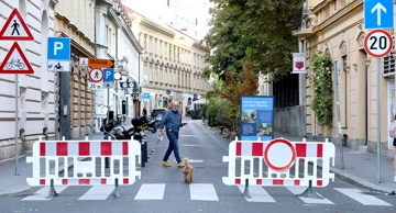 Dan bez automobila
