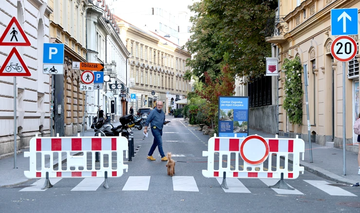 Dan bez automobila