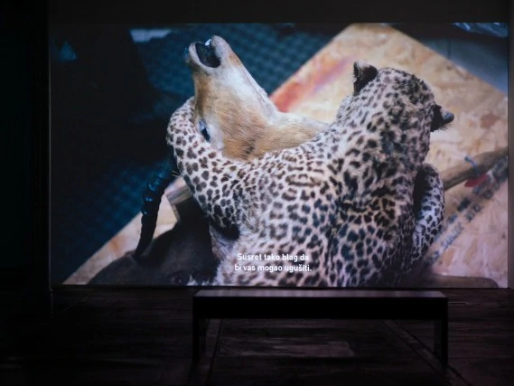 Postoji li neutralnost slike? I još neka pitanja/odgovori iz riječkog MMSU