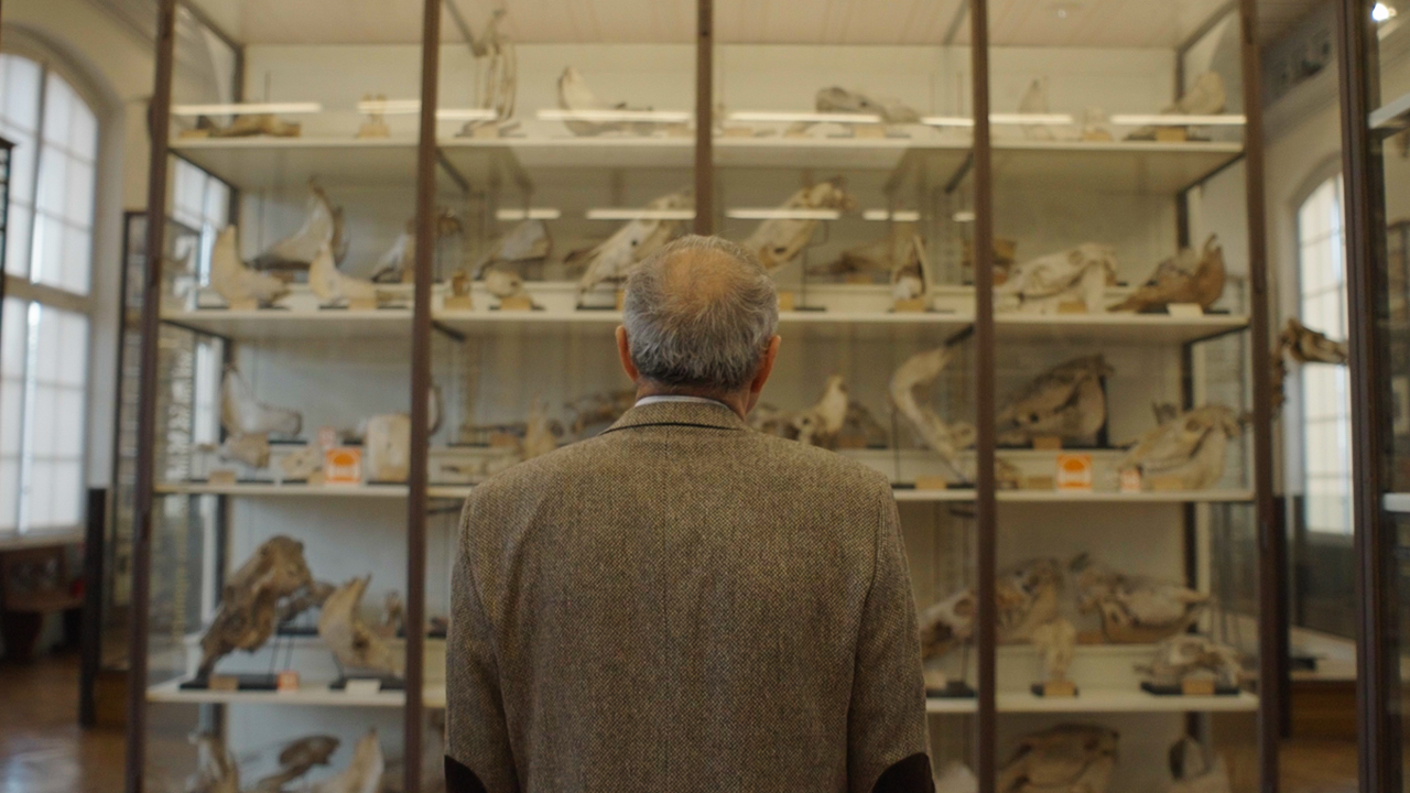 Srijeda, 4. ožujka na Drugom, Foto: Istraga o podrijetlu COVID-a 19/dokumentarni film