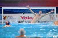 Hrvatska - Srbija, Foto: Damir Damnjanovic/PIXSELL
