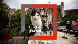 Utorkom o Gradu