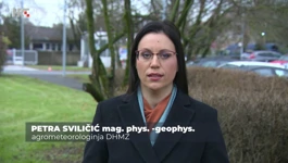 Petra Sviličić
