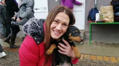 Azil za pse