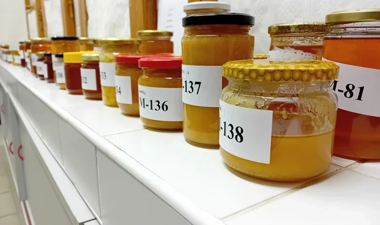 Ocjenjivanje meda, arhiva, Foto: M.Milas/Radio Osijek