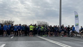 Start Holjevke