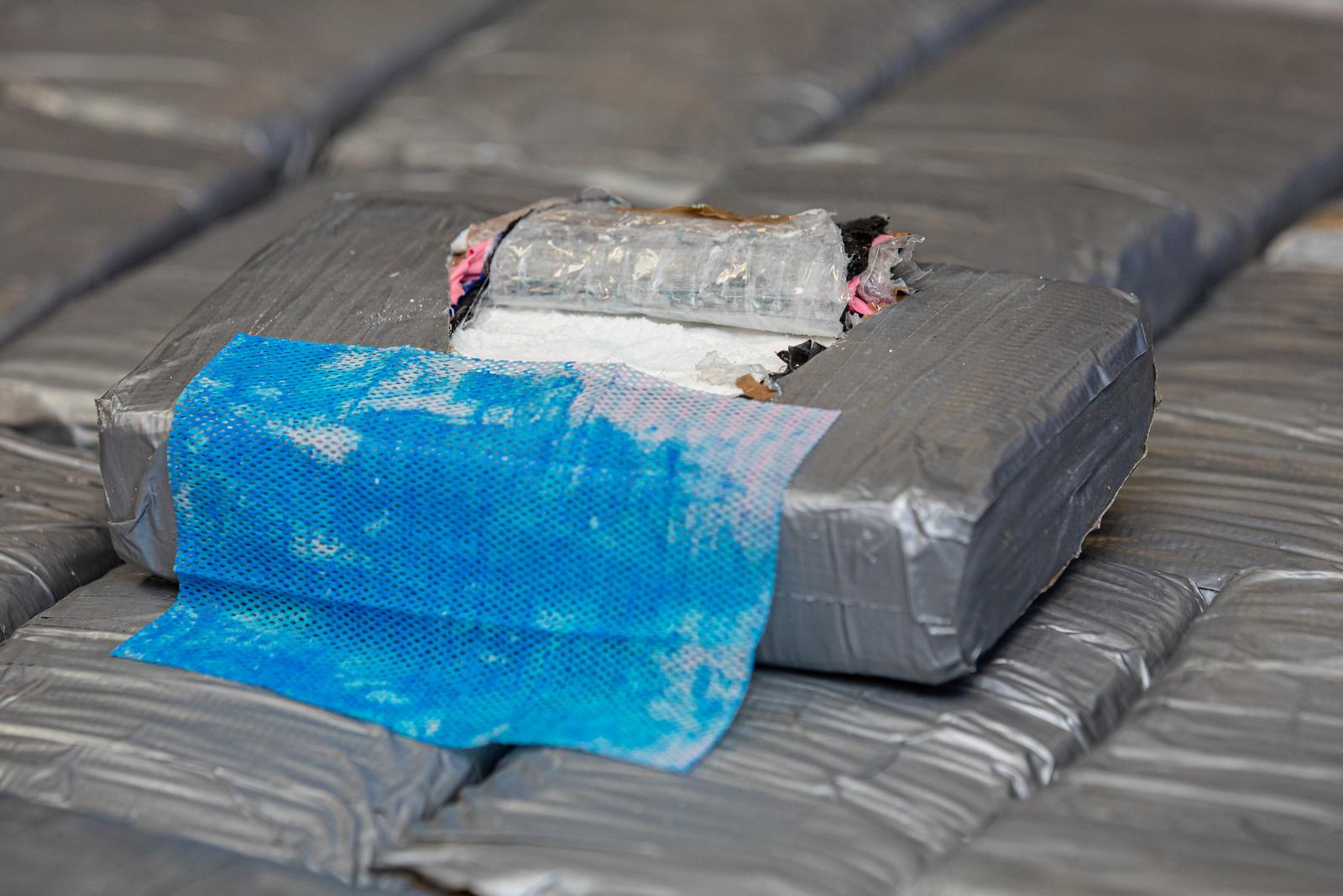 pxl 110122 91428437 20260116172556