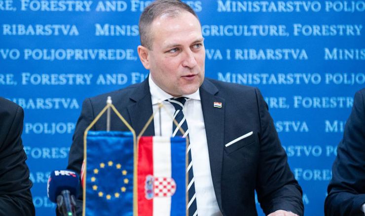 Vlajčić (DP): Ne treba dramatizirati, o deklaraciji će se ra