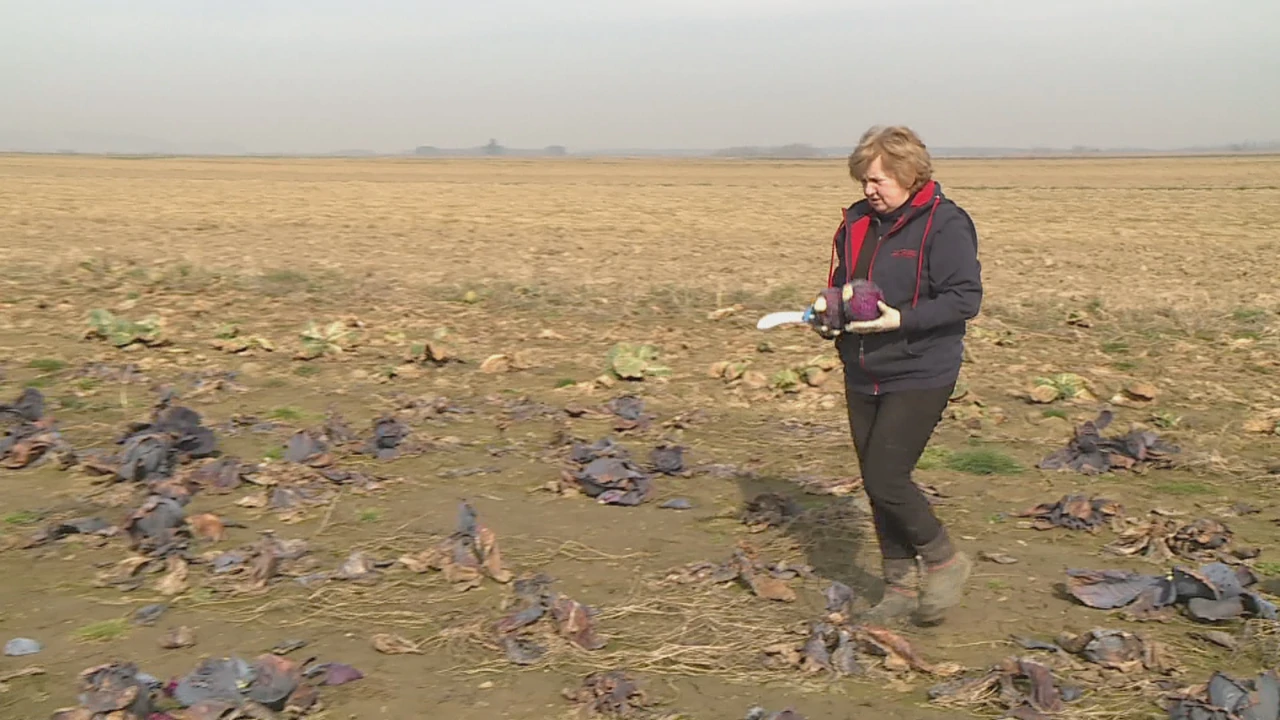Marija Cafuk, Foto: HTV/Marija Cafuk