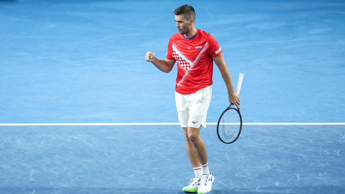 mektic nikola 20260222202646