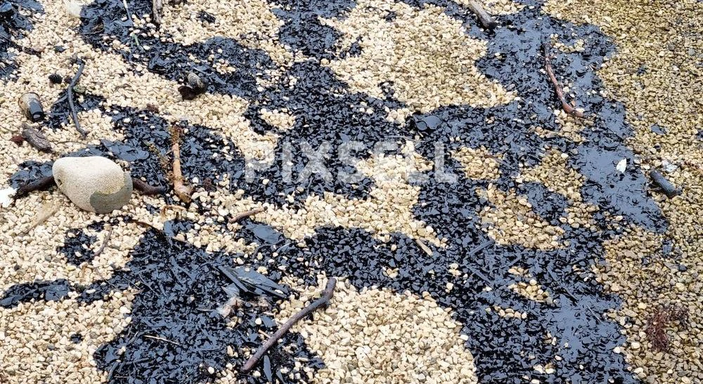 Onečišćenje plaže naftom