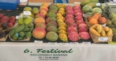 U Gornjoj Bistri održava se šesti Festival indijanske banane