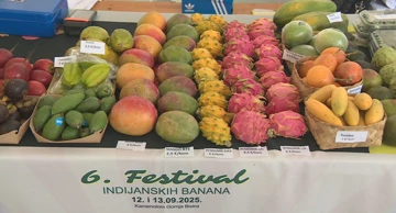 U Gornjoj Bistri održava se šesti Festival indijanske banane