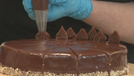 Kupališna torta