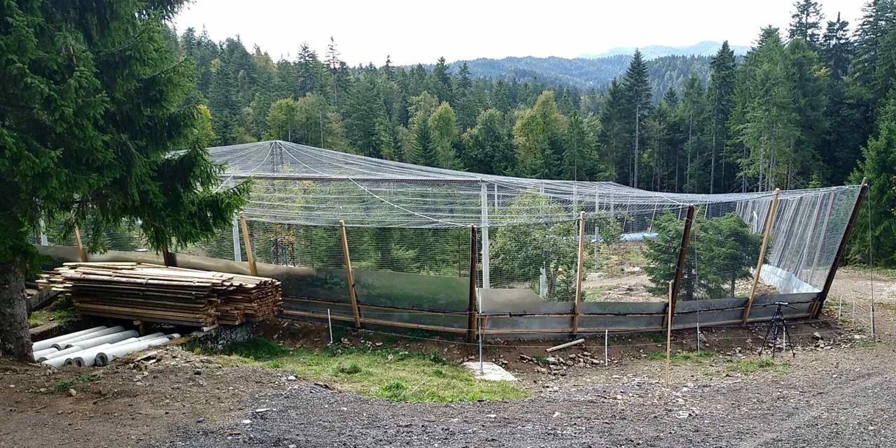 Uzgojni centar za tetrijebe gluhane na lokalitetu Farjev laz kod Tršća 