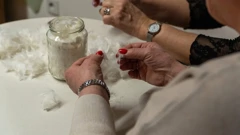 Interaktivno predavanje u Budimpešti, Foto: HS Starog Budima Bekašmeđera/ustupljeno