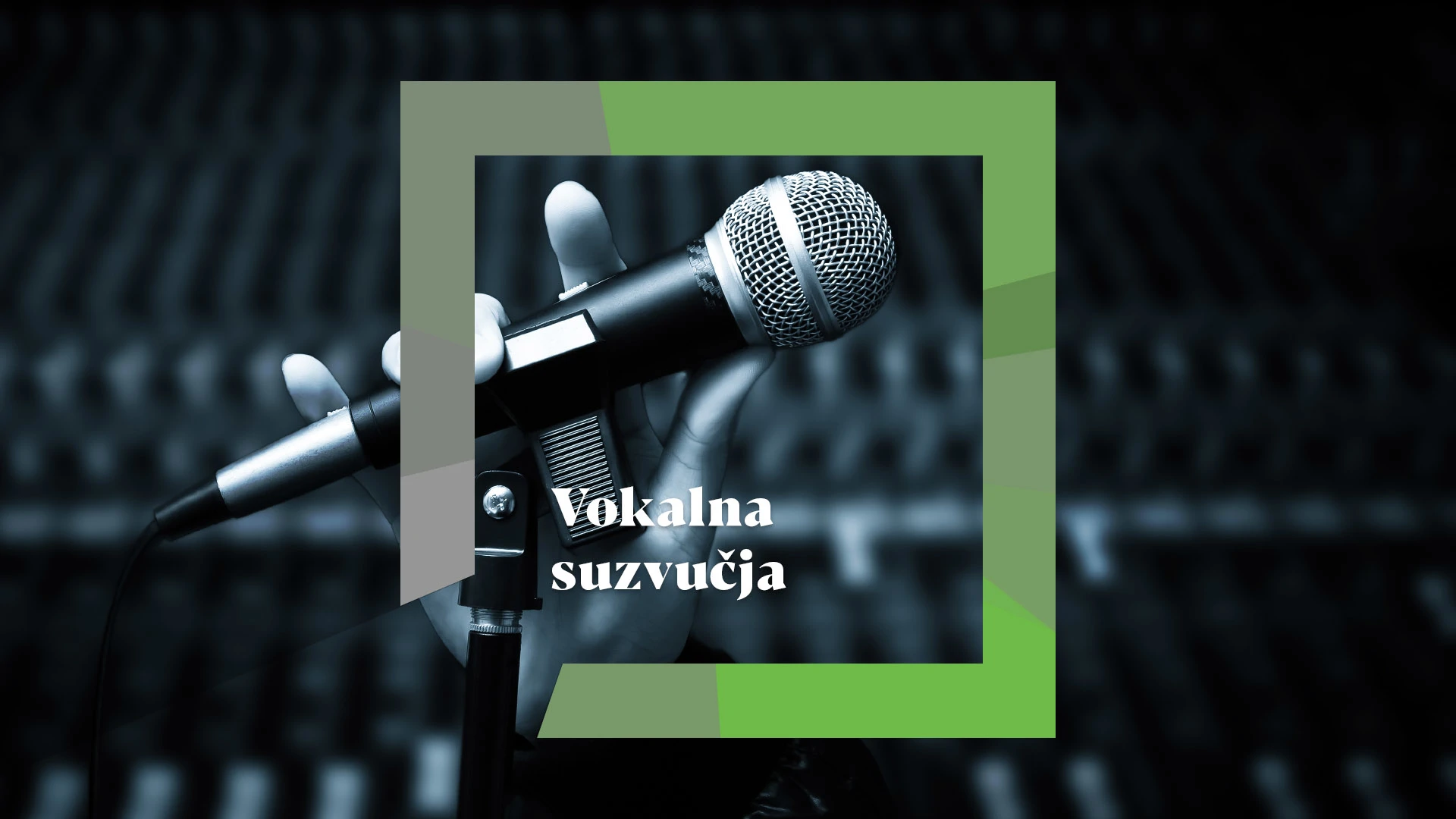 Vokalna suzvučja
