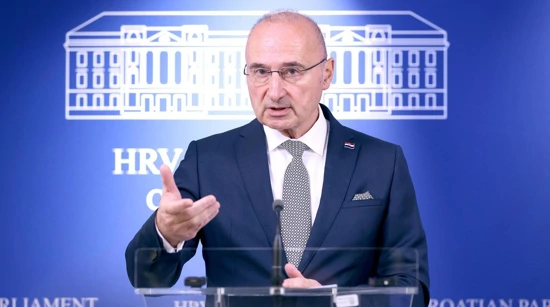 Gordan Grlić Radman