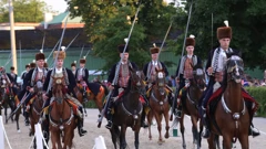 Sinjska alka