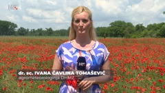 Ivana Čavlina Tomašević, Foto: Plodovi zemlje/HRT