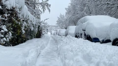 Snježna oluja zahvatila jug Njemačke