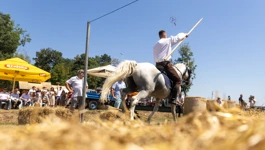 Šokačka alka u Selcima Dakovačkim 