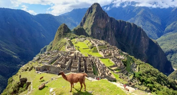 Machu Picchu