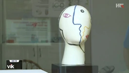 "Picasso, možda ja?"
