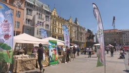 Zdrava hrana na Trgu, 10. Vege sajam