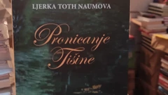 Pronicanje tišine