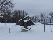 Kopački rit zimi, Foto: Neven Knežević/HRT Radio Osijek