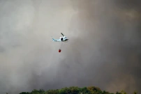 Požar na Krasu, Foto:  Sasa Miljevic /PIXSELL