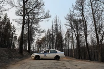Posljedice požara u Grčkoj, Foto: Louiza Vradi/Reuters