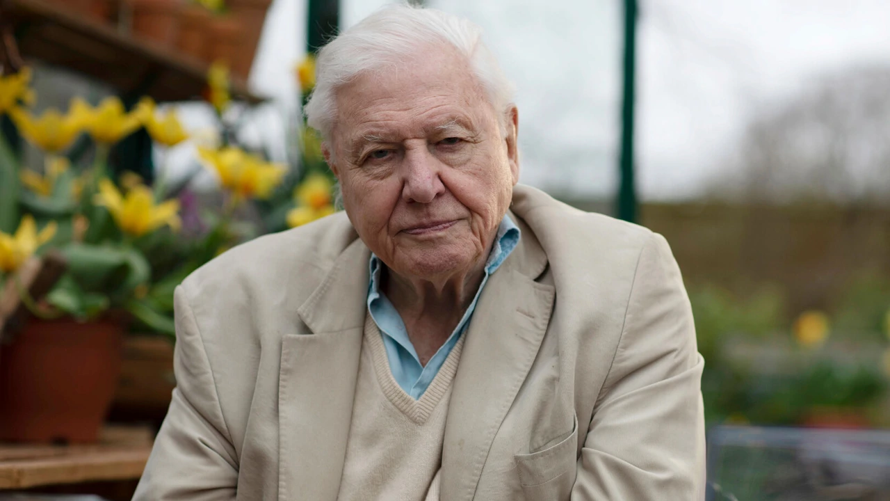 Nedjelja, 29. ožujka na Prvom, Foto: Stoljeće legende: Čudotvorni pjev/dokumentarni film