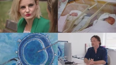 Umjetnom oplodnjom začeto je 5 posto novorođenih