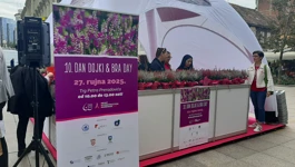 Međunarodni dan dojki - BRA DAY