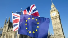 55 posto Britanaca glasalo bi za povratak u Europsku uniju