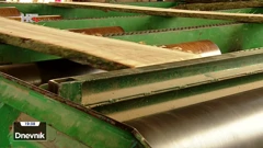 Drvna industrija na koljenima