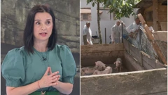 Ministrica poljoprivrede Marija Vučković