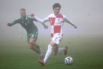 Hrvatska - Litva, Foto:  Slavko Midzor /PIXSELL