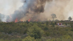 Požar kod Zatona, Foto: HTV/HRT