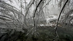 Boris Scitar/Vecernji list/PIXSELL, Foto: -/-
