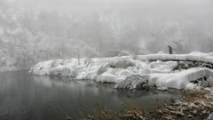 Boris Scitar/Vecernji list/PIXSELL, Foto: -/-