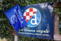 GNK Dinamo pokrovitelj afričkih lavova u zagrebačkom ZOO-u, Foto: Tomislav Miletić/PIXSELL