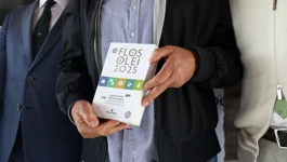 Flor olei